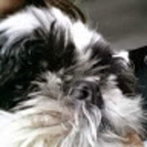 Meet your Posher, Patrice